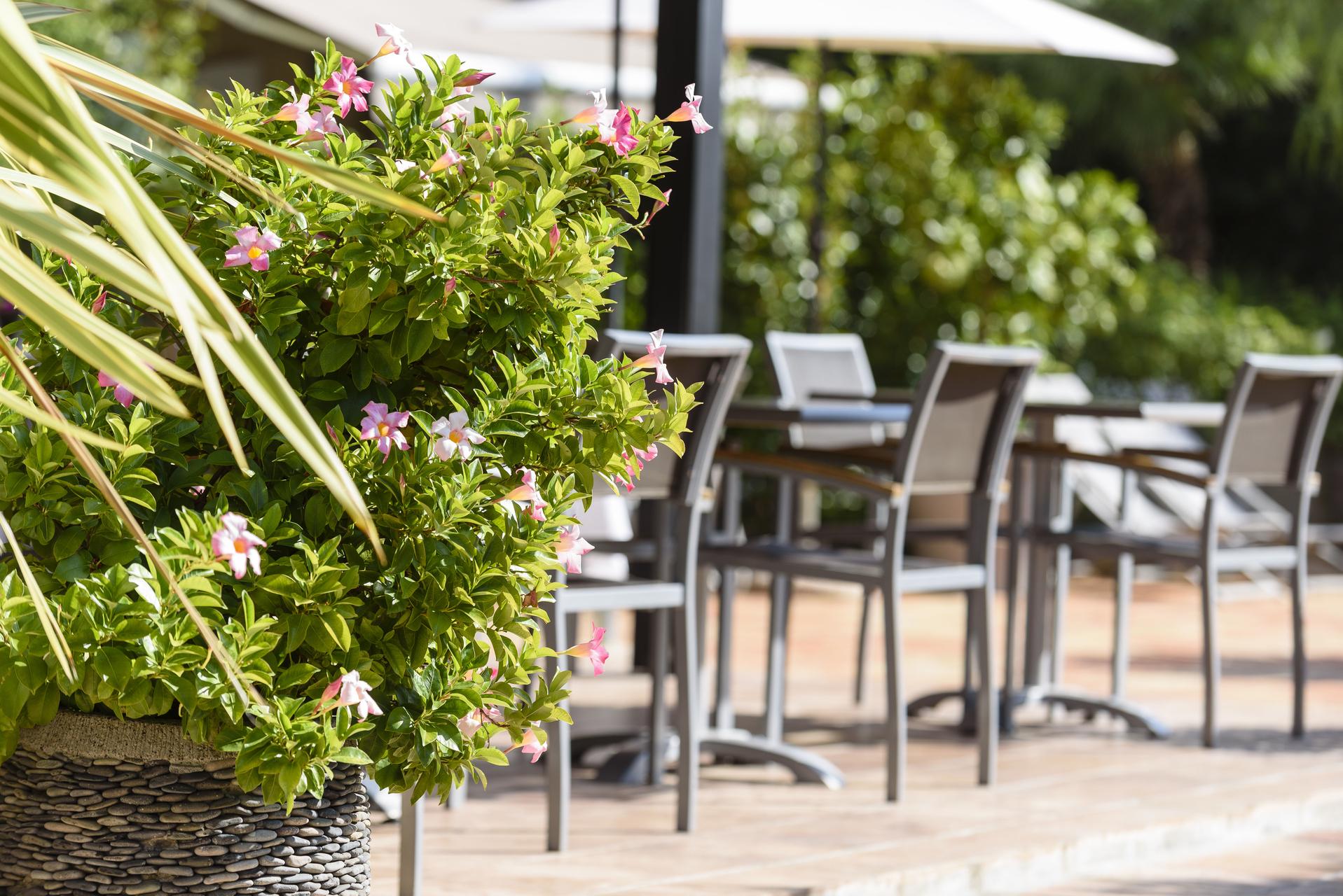 Domaine Du Calidianus Hotell Sainte-Maxime Exteriör bild
